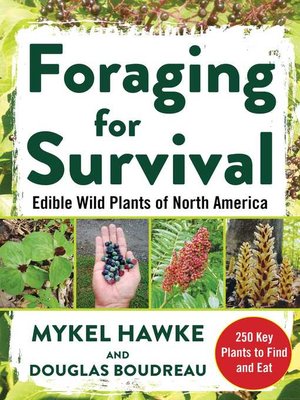 cover image of Foraging for Survival
